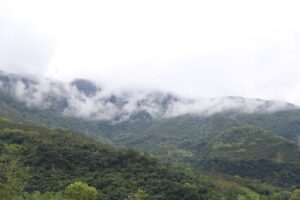 Read more about the article Lin Tian Shan Forestry Park, Hualien, Taiwan