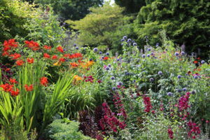 Read more about the article Summer in England: The Botanical Gardens at Royal Victoria Park, Bath