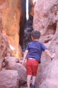 Read more about the article Pioneer Park Slot Canyon