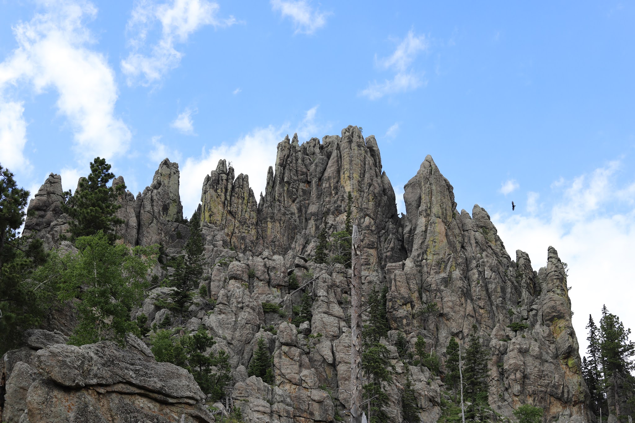 Read more about the article Cathedral Spires Trail, South Dakota