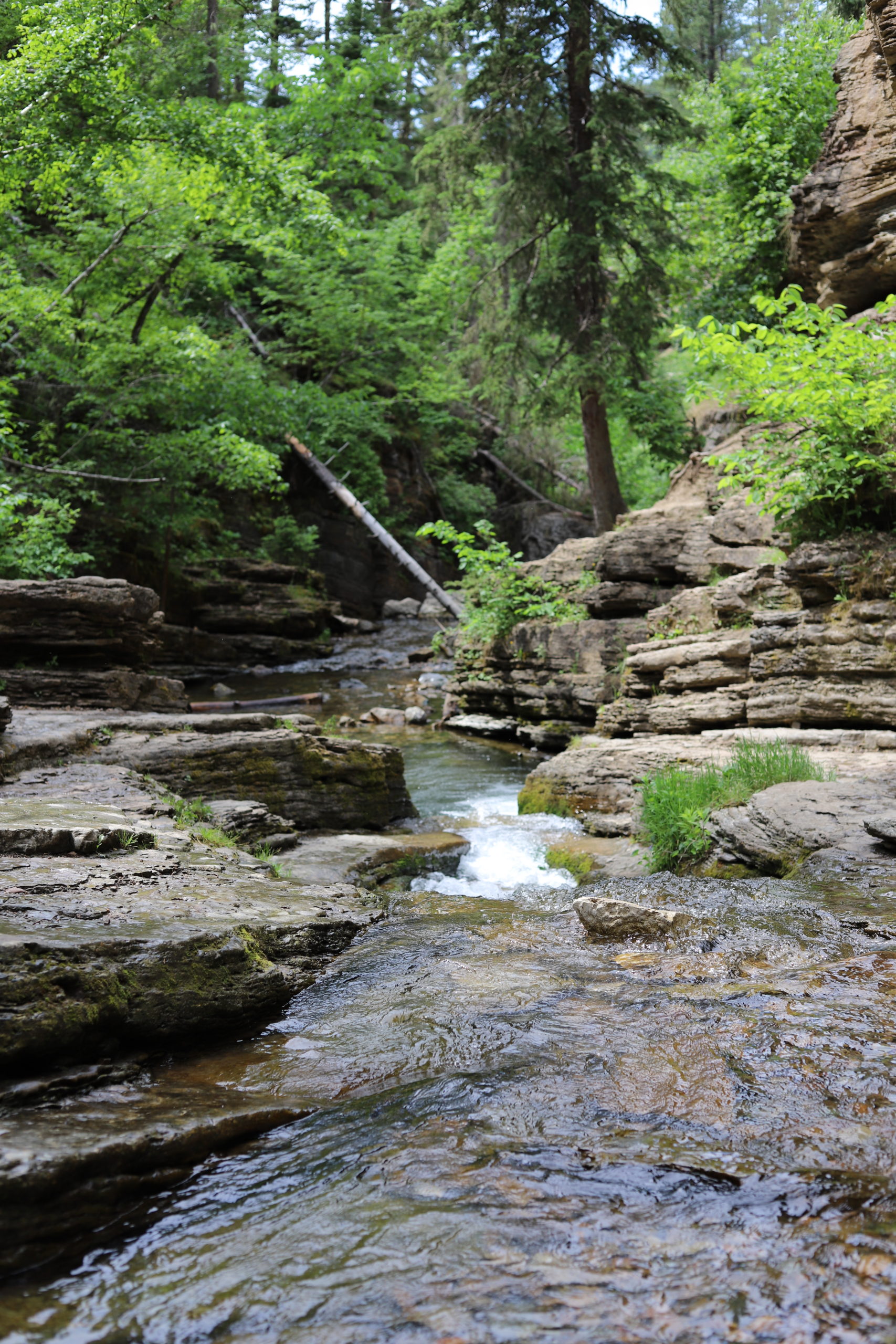 You are currently viewing Devil’s Bathtub Hike, South Dakota