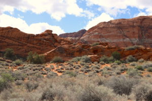 Read more about the article Hiking St. George, Utah: Three Ponds Trail in Snow Canyon State Park