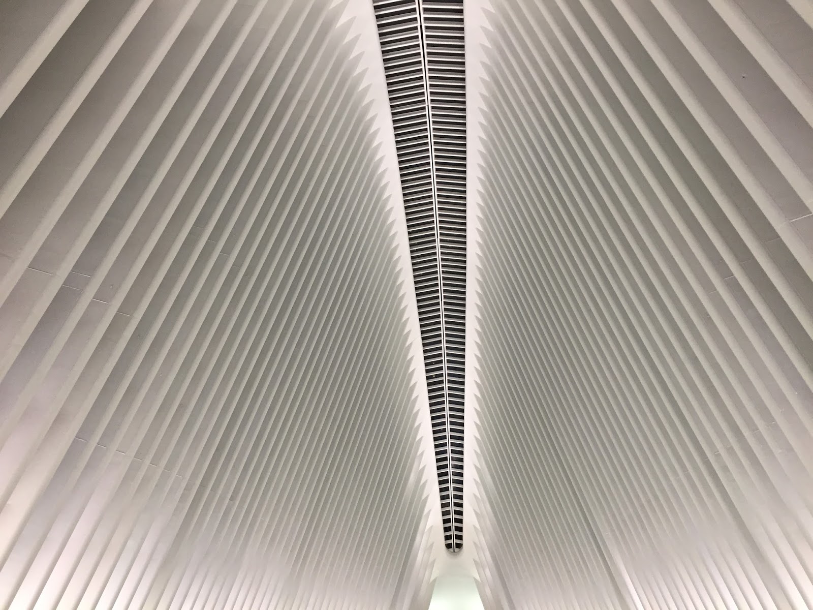 You are currently viewing Oculus NYC