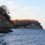 Fossil Hunting at Calvert Cliffs, Maryland