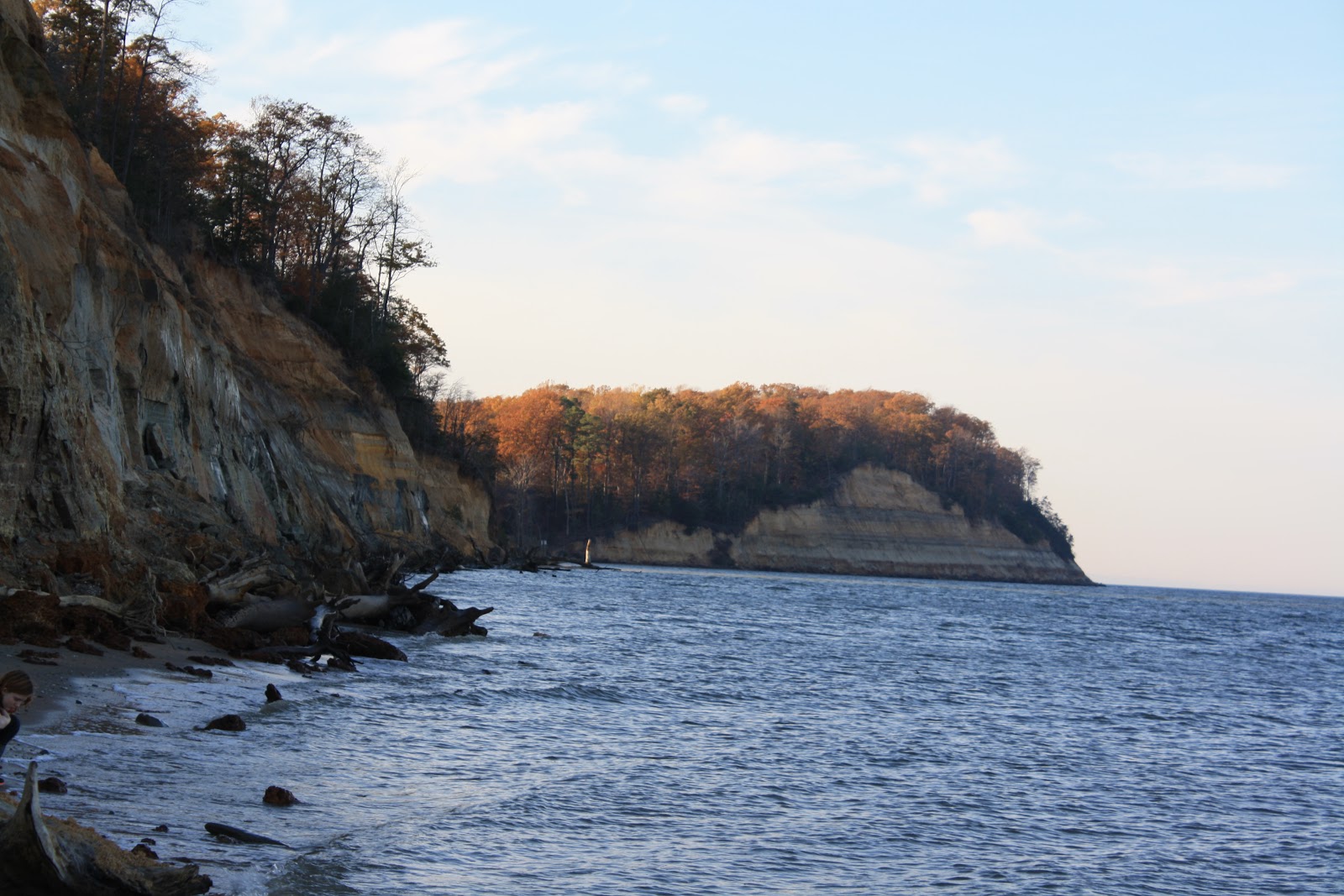 Read more about the article Fossil Hunting at Calvert Cliffs, Maryland