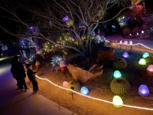 Read more about the article Holiday Lights at Red Hills Desert Garden in St. George, Utah
