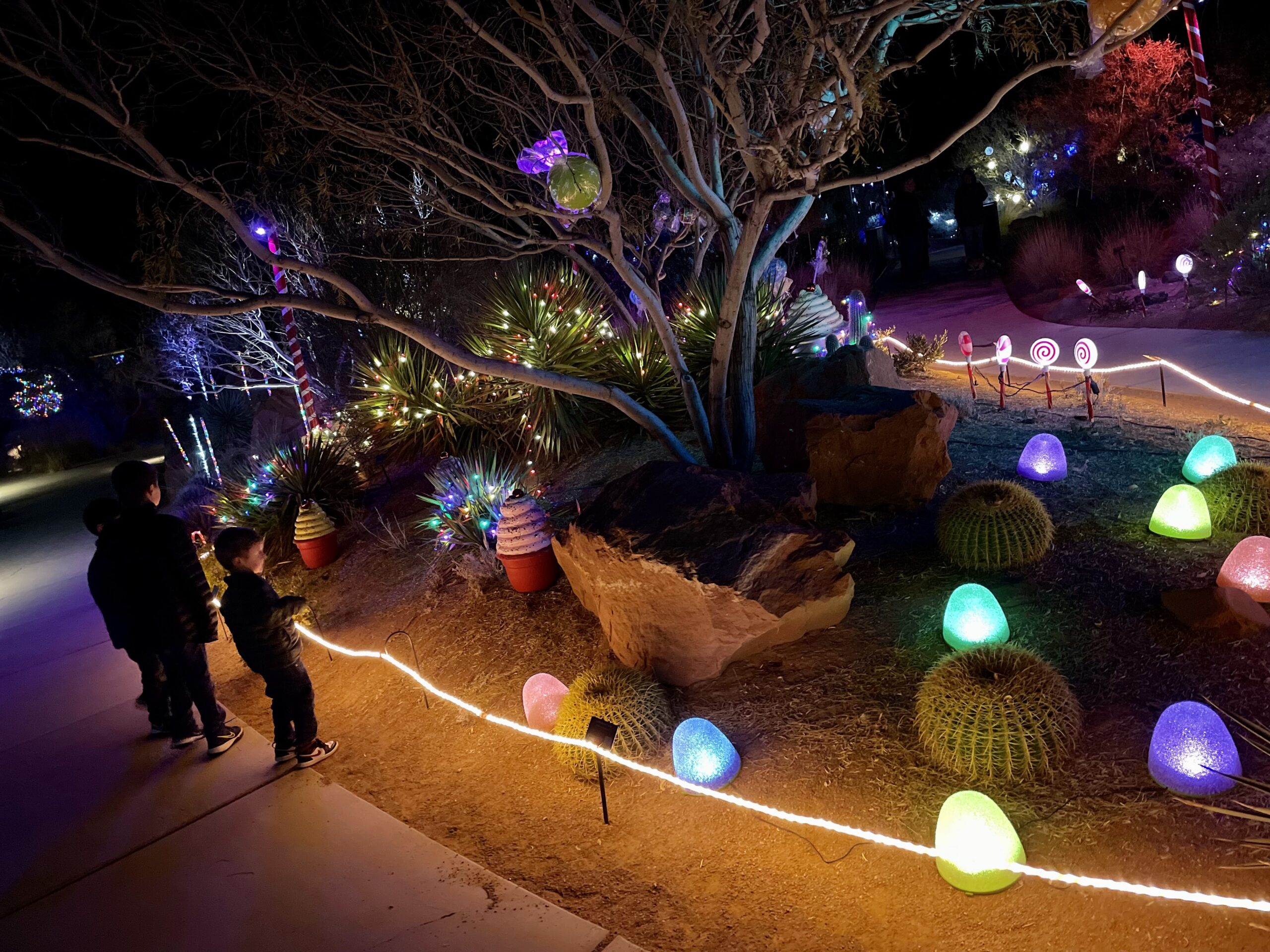 Read more about the article Holiday Lights at Red Hills Desert Garden in St. George, Utah