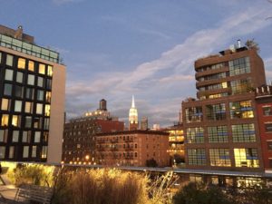 Read more about the article High Line at Night