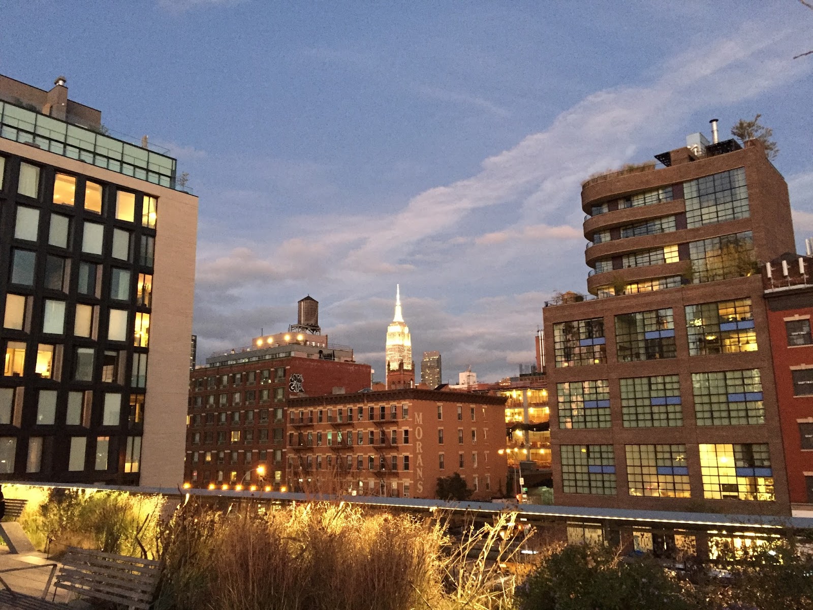 Read more about the article High Line at Night