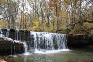 Read more about the article Nerstrand Big Woods State Park, Minnesota