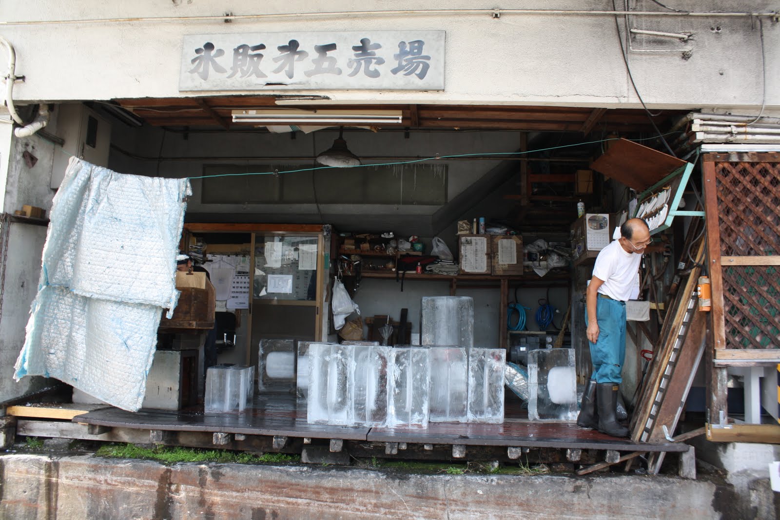 You are currently viewing Tsukiji Fish Market, Giants Baseball & Tokyo Tower, Japan