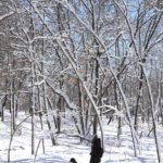 Hiking Minnesota: Arcola High Bridge on the St Croix River