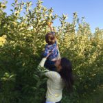 Apple Picking at the Orchard in Stillwater, Minnesota