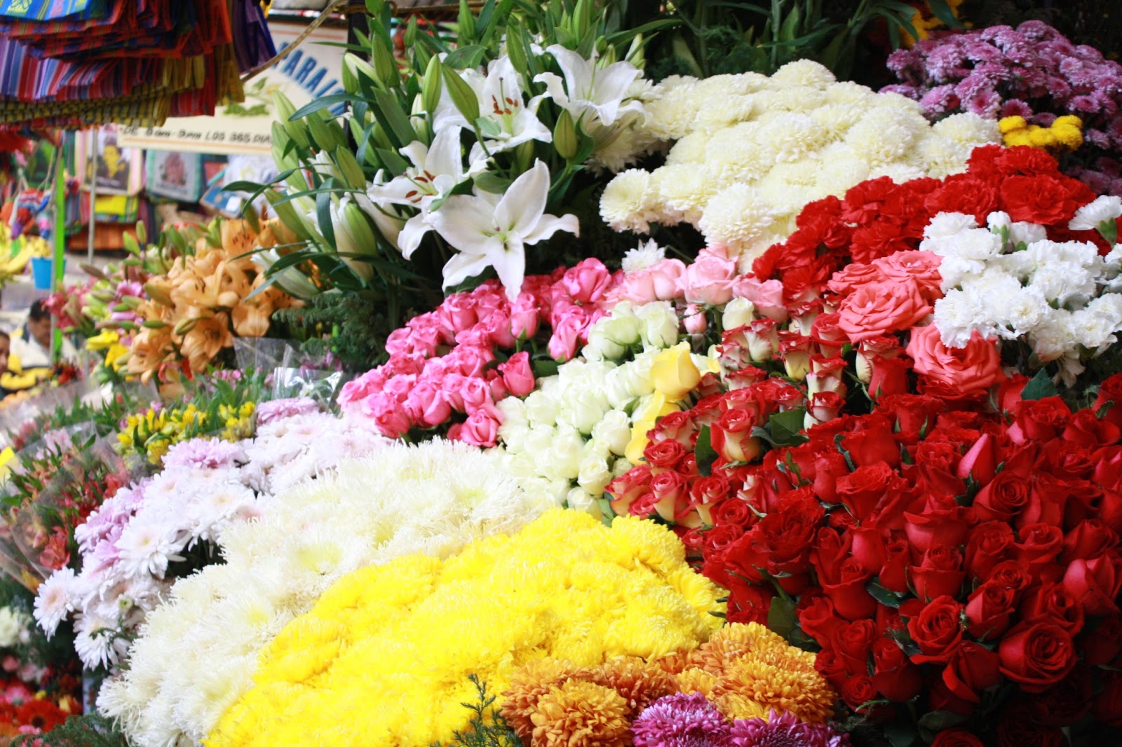 Read more about the article Public Market in San Miguel de Allende, Mexico